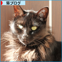 がまんできない!_a0389088_18111788.jpg
