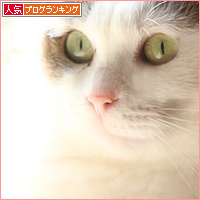 2016年組_a0389088_18111931.jpg