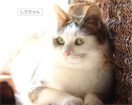 2016年組_a0389088_18111954.jpg