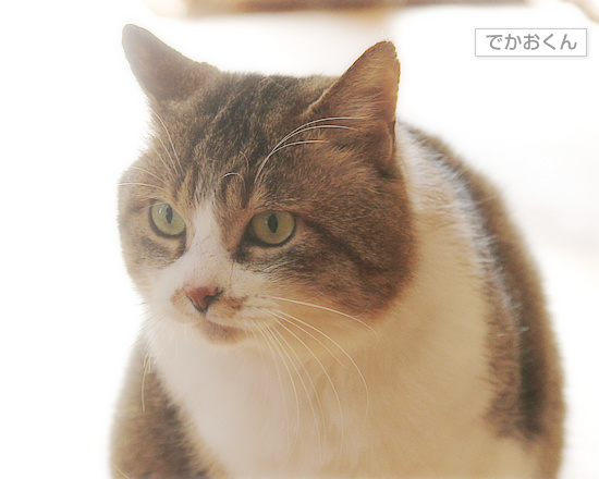 2016年組_a0389088_18111957.jpg