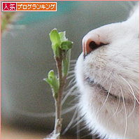 みつきの木_a0389088_18112117.jpg