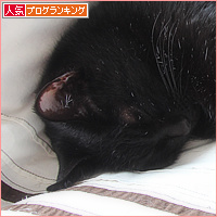 ちょっとだけお休みを_a0389088_18112145.jpg