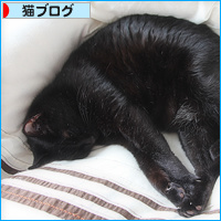 ちょっとだけお休みを_a0389088_18112162.jpg