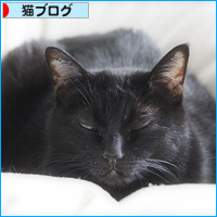 生々しい抱き枕_a0389088_18112204.jpg