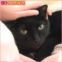 生々しい抱き枕_a0389088_18112283.jpg