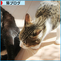 日差しを腹に受けて_a0389088_18112468.jpg