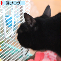 ぽんきゅ、穏やかに・・・_a0389088_18112633.jpg