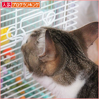ぽんきゅ、穏やかに・・・_a0389088_18112668.jpg