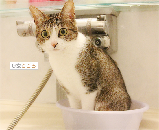 いい湯だな♪_a0389088_18112911.jpg