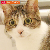 いい湯だな♪_a0389088_18112930.jpg