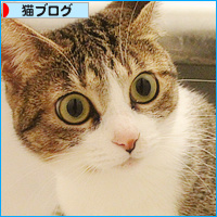 いい湯だな♪_a0389088_18112940.jpg