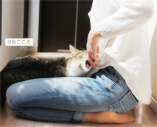 春は、猫を変える_a0389088_18113273.jpg
