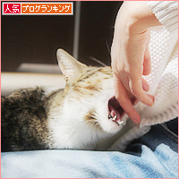 春は、猫を変える_a0389088_18113328.jpg