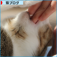 春は、猫を変える_a0389088_18113340.jpg