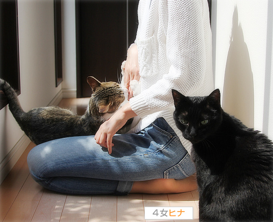 春は、猫を変える_a0389088_18113386.jpg