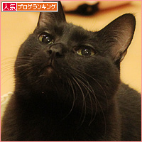 ビーが戻ってきた!_a0389088_18113408.jpg