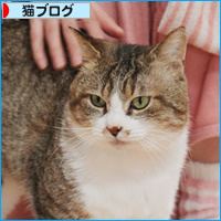 ビーが戻ってきた!_a0389088_18113409.jpg