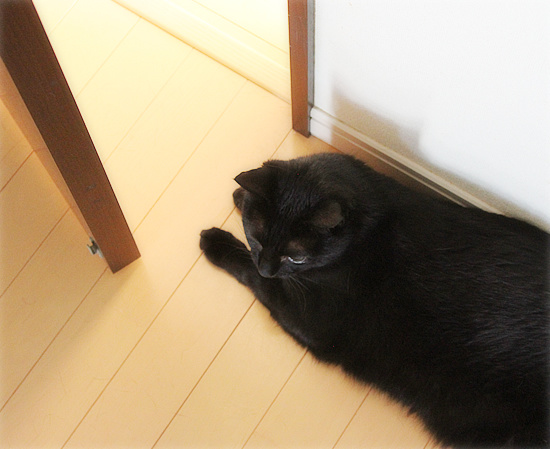 暖房希望_a0389088_18125807.jpg