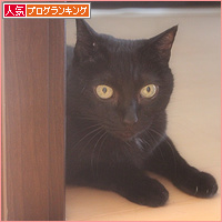 暖房希望_a0389088_18125851.jpg