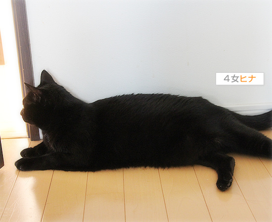 暖房希望_a0389088_18125889.jpg