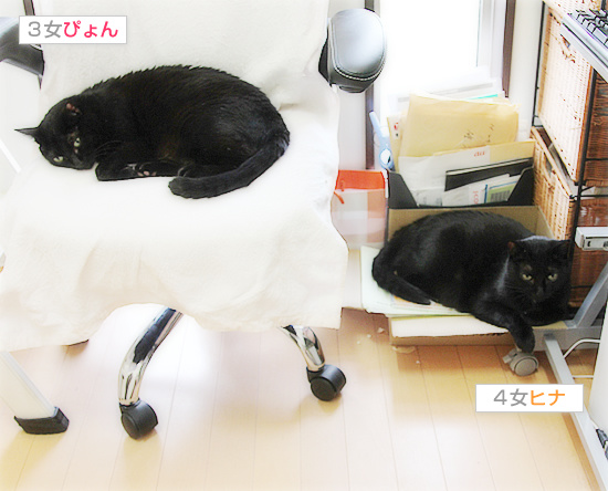 犬猿の仲までも、ついに!?_a0389088_18125933.jpg