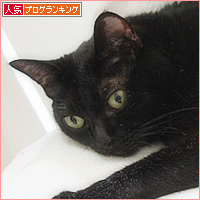犬猿の仲までも、ついに!?_a0389088_18130049.jpg