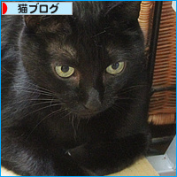 犬猿の仲までも、ついに!?_a0389088_18130057.jpg