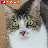 天敵がやってきた_a0389088_18130247.jpg