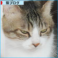 天敵がやってきた_a0389088_18130253.jpg