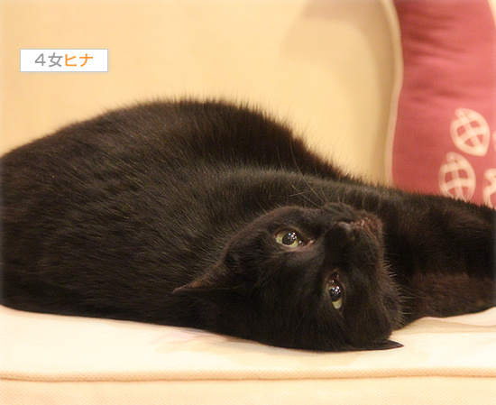 間違ってます_a0389088_18130406.jpg