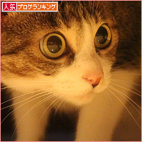 間違ってます_a0389088_18130407.jpg