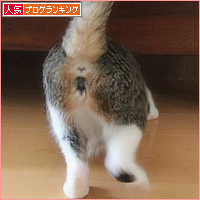 新しい家族が増えました_a0389088_18130451.jpg