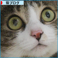新しい家族が増えました_a0389088_18130487.jpg