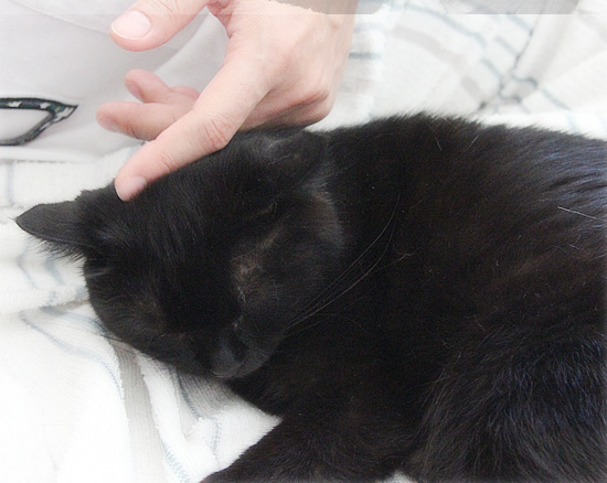 どっちが子どもなんだか_a0389088_18130538.jpg