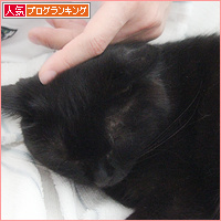 どっちが子どもなんだか_a0389088_18130568.jpg