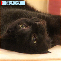 間違ってます_a0389088_18130573.jpg