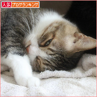 真夏の猫だんご_a0389088_18130698.jpg