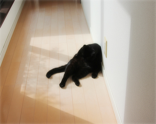 季節に抗う_a0389088_18130721.jpg