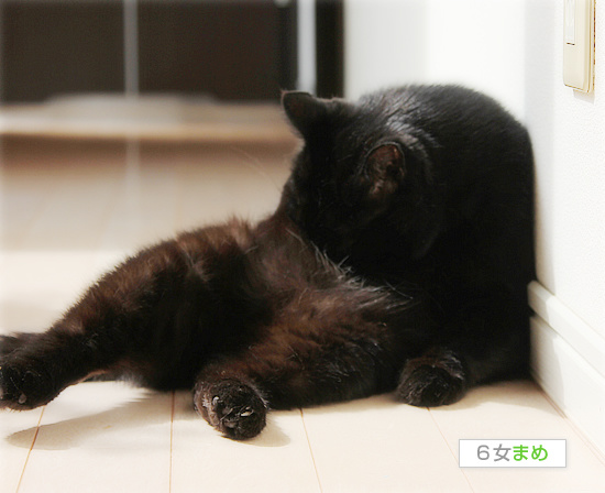 季節に抗う_a0389088_18130744.jpg