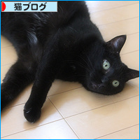 ブログ猫_a0389088_18130820.jpg
