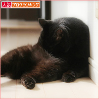 季節に抗う_a0389088_18130822.jpg