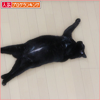ブログ猫_a0389088_18130856.jpg