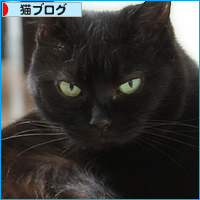 季節に抗う_a0389088_18130893.jpg