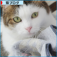 猫の従業員_a0389088_18130914.jpg