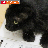 猫の従業員_a0389088_18130938.jpg
