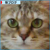 東京でも元気です!_a0389088_18131132.jpg