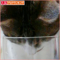 東京でも元気です!_a0389088_18131171.jpg