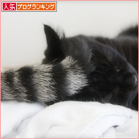 猫侍_a0389088_18131178.jpg