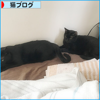 猫ナース_a0389088_18131205.jpg