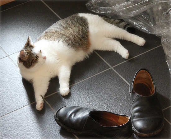 って、そっち!?_a0389088_18131213.jpg